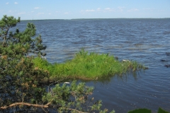 zygis_aplink_rekyva-30