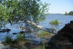 zygis_aplink_rekyva-32