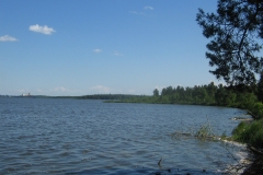 zygis_aplink_rekyva-37