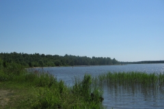 zygis_aplink_rekyva-46