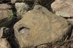 zygis_aplink_rekyva-60