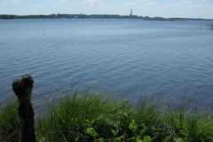 zygis_aplink_rekyva-66