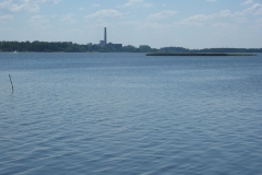 zygis_aplink_rekyva-67