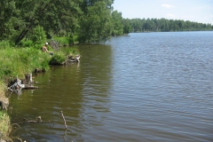 zygis_aplink_rekyva-68