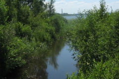 zygis_aplink_rekyva-75