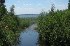 zygis_aplink_rekyva-76