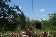 zygis_aplink_rekyva-78