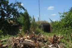 zygis_aplink_rekyva-79