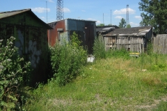 zygis_aplink_rekyva-80