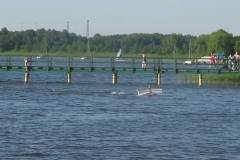 zygis_aplink_rekyva-90